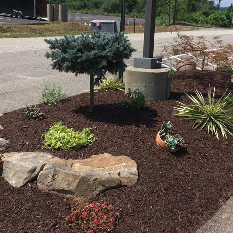 gallery-commercial-landscaping-services