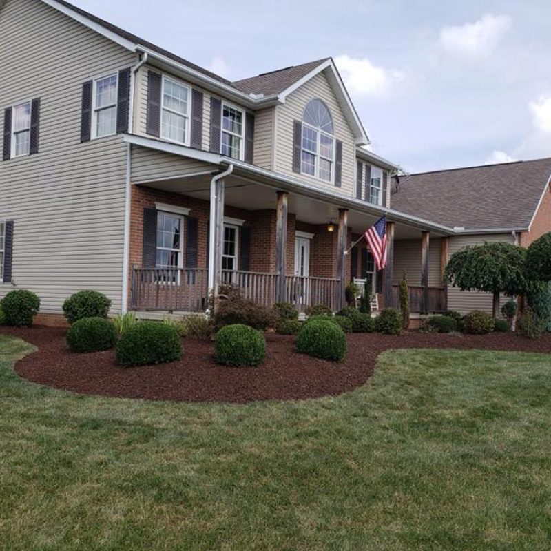 gallery-landscape-trimming-shrubs