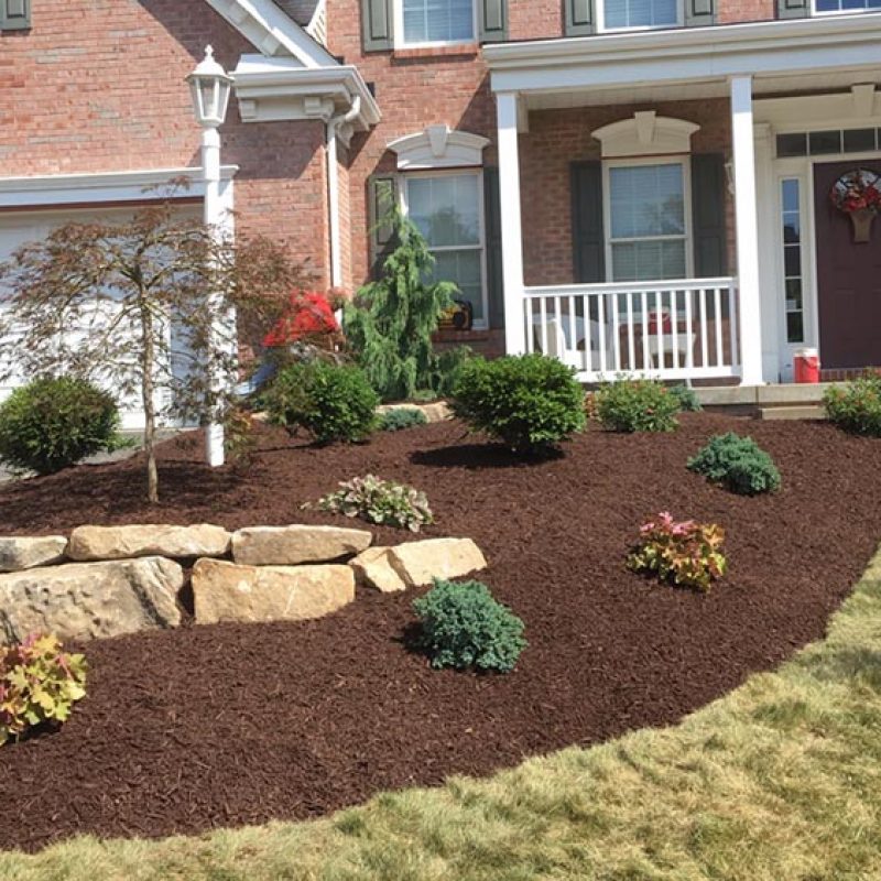 gallery-landscaping-mulch-plants