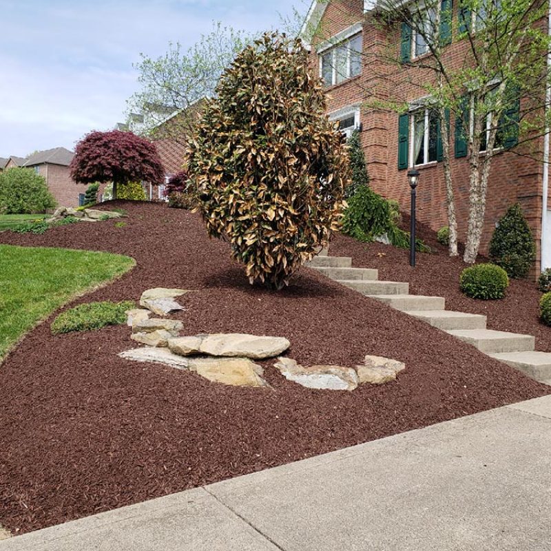 gallery-landscaping-new-mulch