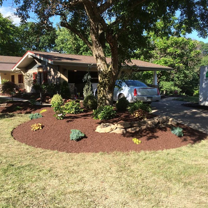 gallery-landscaping-service