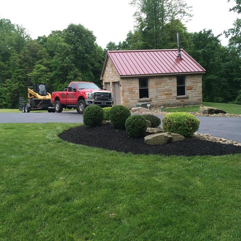 gallery-landscaping-trimming